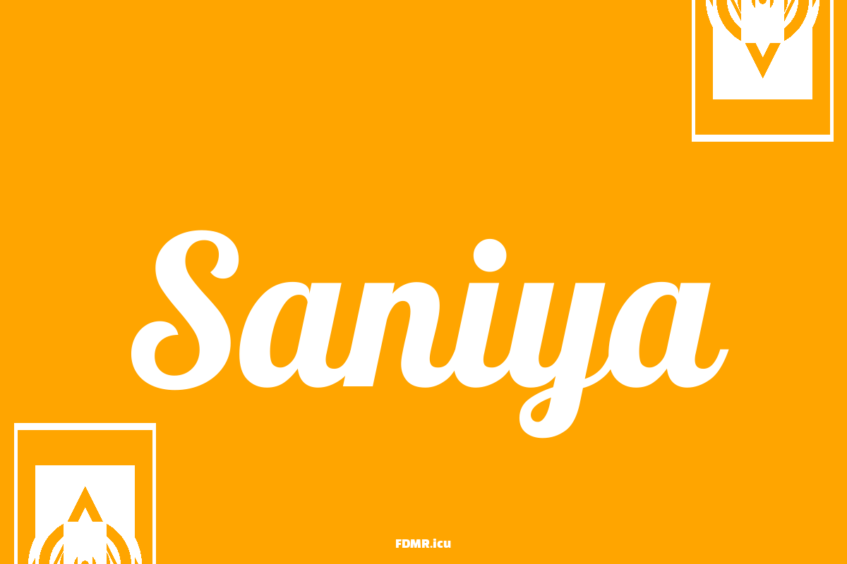 Sania Logo | Free Name Design Tool from Flaming Text